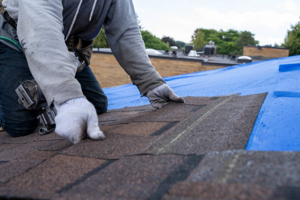 Best Roofing for New Construction  in St Joseph, MI