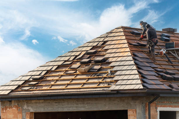 Best Skylight Installation and Repair  in St Joseph, MI